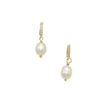 Load image into Gallery viewer, Dove earrings