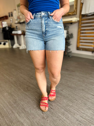 HR Raw Hem Distressed Shorts