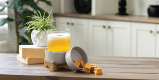 Classic Wooden Pedestal 2-1 Warmer