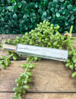 Clear glass perfume bottle with silver cap surrounded by green succulent plants on wooden surface.