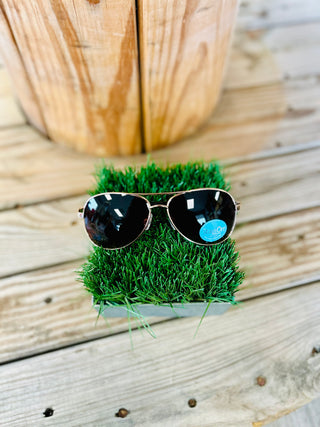 100% UVA/UVB Stayson Eyewear - The London