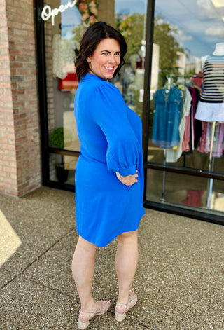 Royal Radiance Puff Sleeve Dress