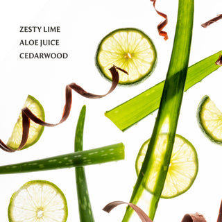 Fresh lime slices and aloe vera leaves with decorative ribbon against white background showcasing natural ingredients.