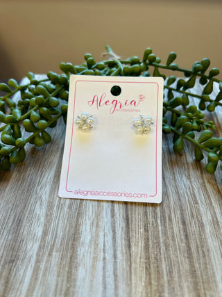 Blessing Earrings on Alegria Accessories card displayed with green succulent plants on wooden surface.