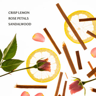 Lemon slices, rose petals, cinnamon sticks and green leaves arranged on white background showcasing fragrance ingredients.