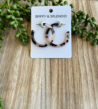 Tortoiseshell pattern hoop earrings on white product card surrounded by green succulent plants on wood surface.