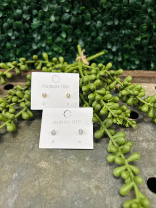 Two pairs of stainless steel solitaire stud earrings on white cards surrounded by green succulent plants.