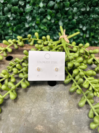 Classic gold stainless steel solitaire stud earrings on white card surrounded by green succulent plants.
