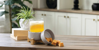 Classic wooden pedestal candle warmer with glass dish, melted wax cubes, and plant on kitchen counter