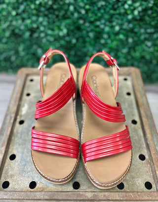 Red strappy wedge sandals with ankle buckles displayed on wooden surface with green foliage background
