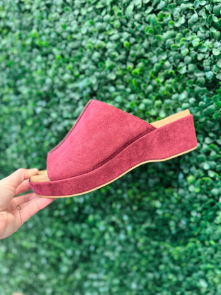 Corky's suede platform mule clog held up against a green leafy wall backdrop.