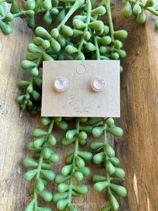 Crystal halo stud earrings on branded card displayed with succulent plant on wooden surface