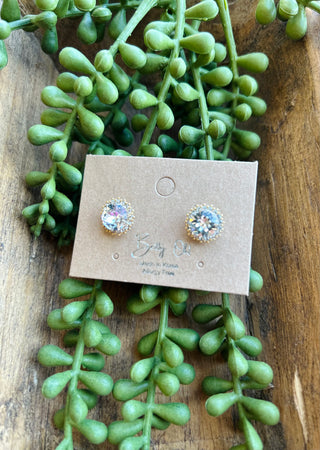 Crystal halo stud earrings on display card surrounded by green succulent plants on wooden surface.
