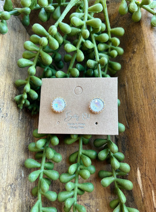 Crystal Halo Studs earrings on branded card displayed on wooden surface with green succulent plants.