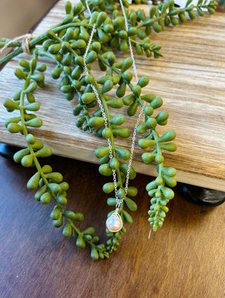 Ethereal necklace with pendant on silver chain displayed with green succulent plants on wooden surface