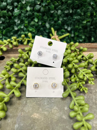 Two pairs of crystal stud earrings on white cards surrounded by green succulent plants on wood surface.