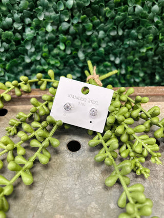 Stainless steel stud earrings on white card surrounded by green succulent plants on wooden surface.