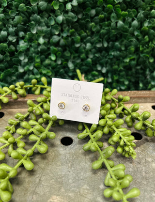 OMG Bling Everyday Luxe Studs stainless steel earrings displayed on card with green foliage background