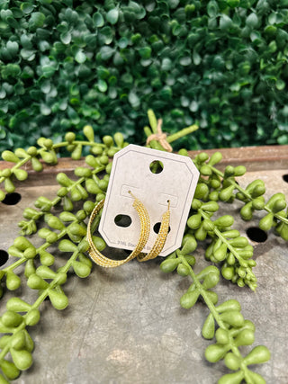 Golden textured hoop earrings displayed on card among green succulent plants on wooden surface.