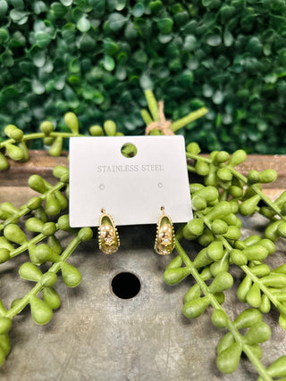 Gold hoop earrings with decorative detailing displayed on card among green succulent plants