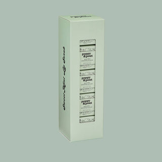 Tall mint green gift box containing four tubes of Poppy & Pout Sweet Mint lip scrub products.