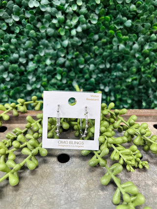 Nova Beaded Hoops earrings on display card surrounded by green succulent plants on wooden surface.