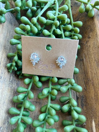 Sparkly crystal rosette stud earrings on brown card display surrounded by green succulent plants
