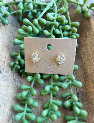 Elegant crystal rosette stud earrings displayed on brown card surrounded by green succulent plant