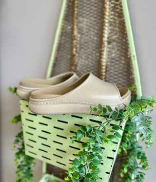 Beige platform slide sandals displayed on green perforated shelf with trailing green plants