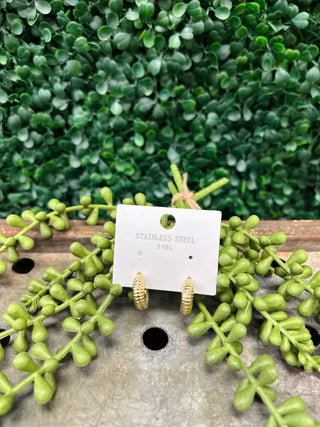 Gold textured hoop earrings on display card surrounded by green succulent plants on wooden surface.