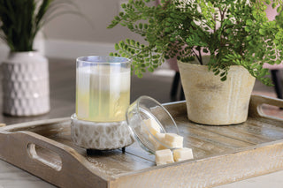 Swirled glass candle warmer with melted wax on wooden tray with plants and wax melts nearby