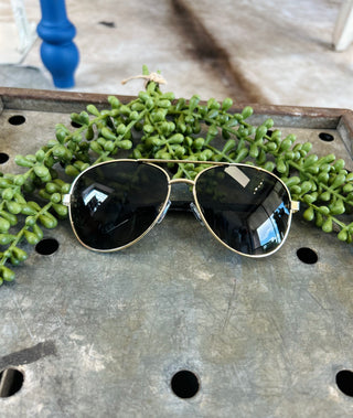 Gold-framed aviator sunglasses with dark lenses displayed on rustic wooden surface with green succulent plant.