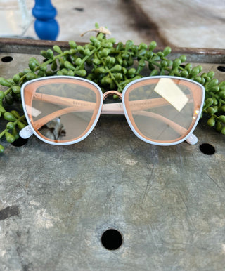 Stayson Olivia sunglasses with gradient lenses displayed on rustic wooden surface with green succulent plant