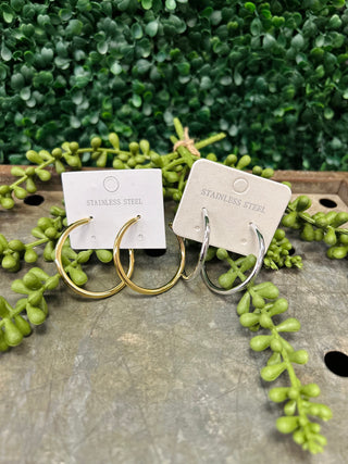 Two pairs of stainless steel hoop earrings on display cards surrounded by green succulent plants on wooden surface.