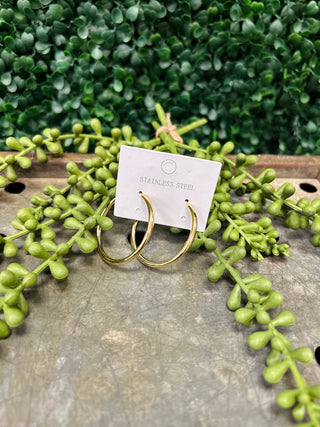 Gold stainless steel hoop earrings on display card with green foliage on wooden surface.