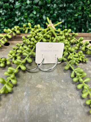 Silver stainless steel hoop earrings on display card surrounded by green succulent plants on wooden surface.