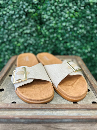 TOMS Marin sandals with buckle straps and cork soles displayed on wooden surface