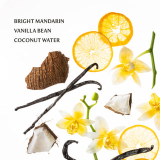 Ingredients for vanilla blossom hand sanitizer: mandarin slices, vanilla beans, coconut pieces, and vanilla flowers on whi...